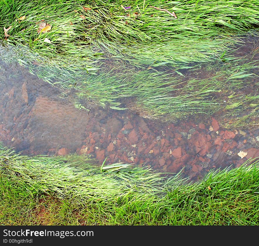 Stream in spring