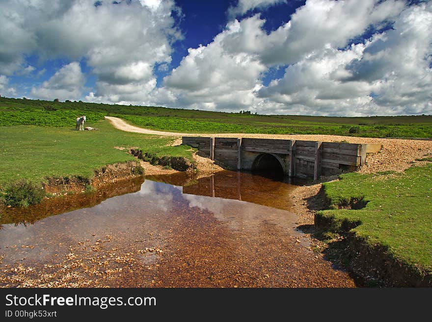 Bridge across Ditchend Brook, New Forest National Park, Hampshire UK. Bridge across Ditchend Brook, New Forest National Park, Hampshire UK