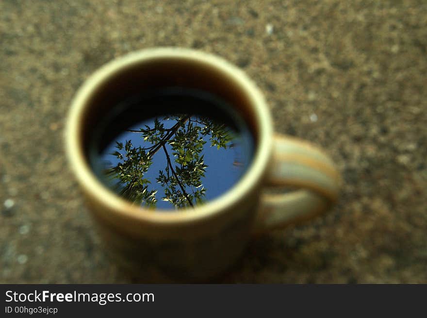 Trees reflection in cup of tea. Trees reflection in cup of tea