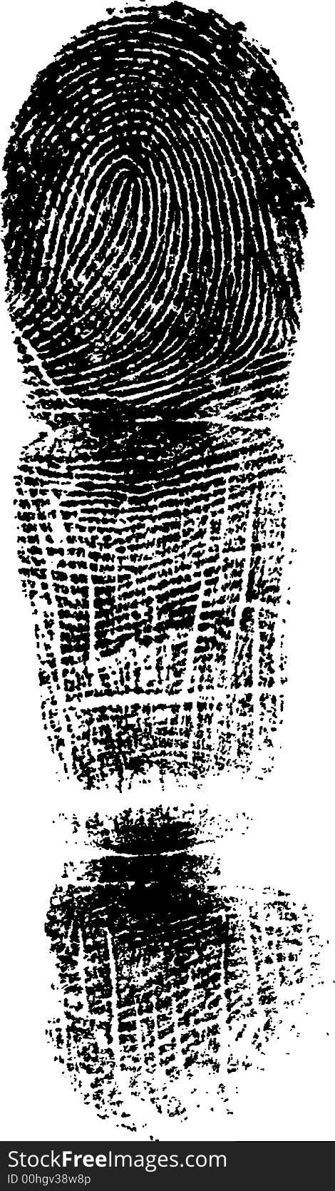 Full Finger FingerPrint (Very Detailed Vector Image). Full Finger FingerPrint (Very Detailed Vector Image)