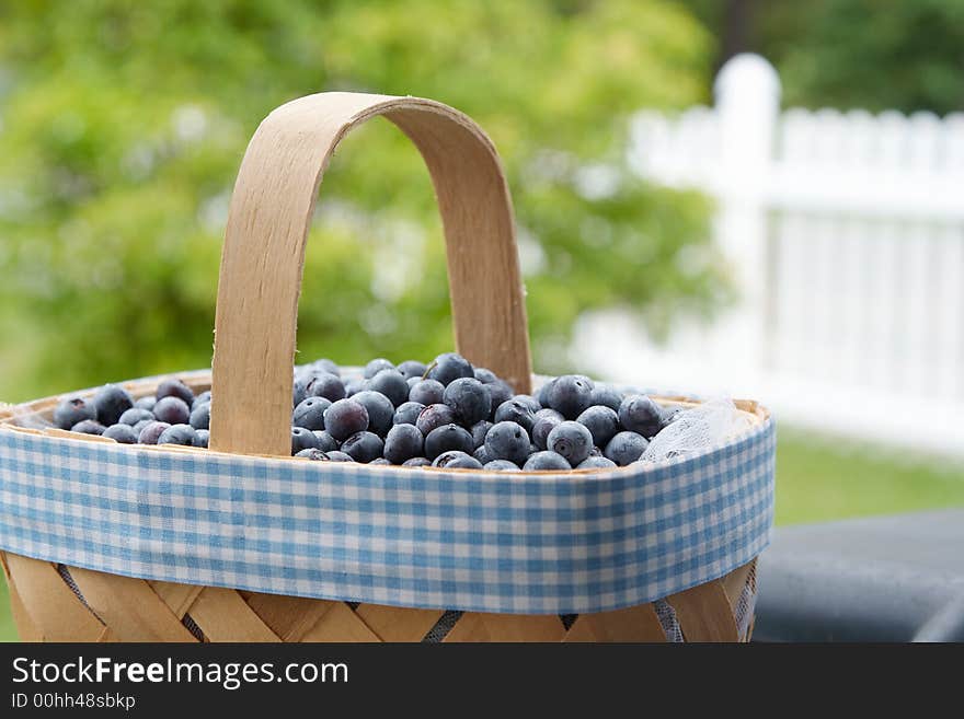 A basket of freshly picked blueberries. Narrow depth of field. Focus is on the blueberries. A basket of freshly picked blueberries. Narrow depth of field. Focus is on the blueberries.