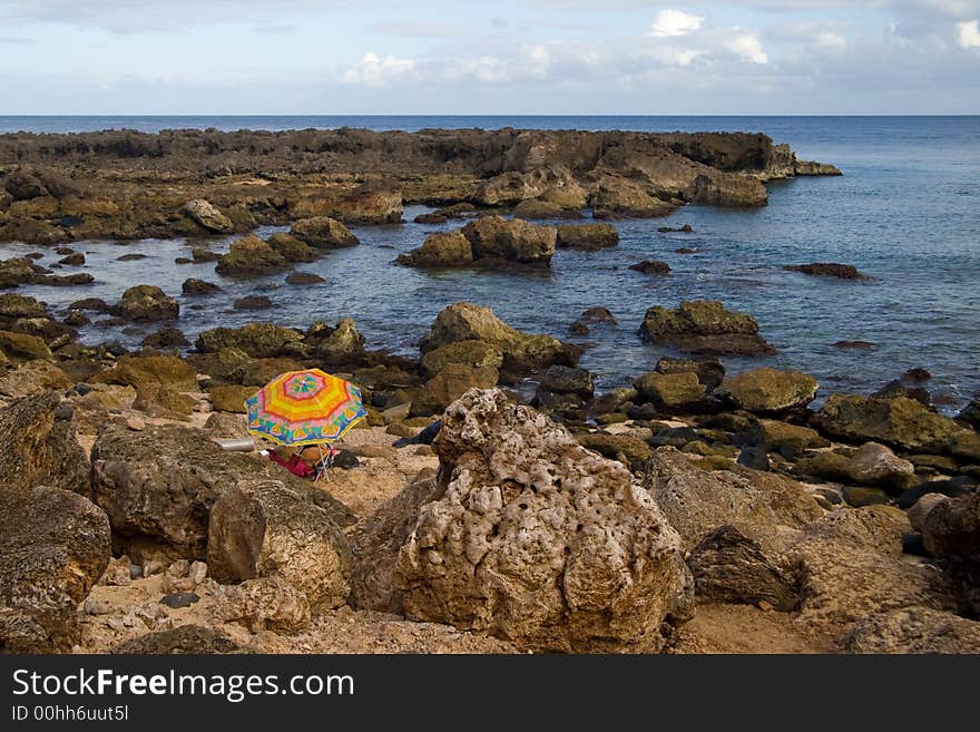 A single sunbather near Shark's Cove in Hawaii. A single sunbather near Shark's Cove in Hawaii