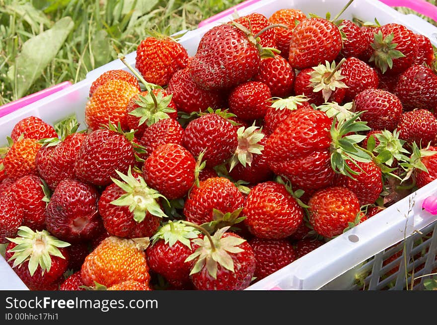 Pottle with strawberry