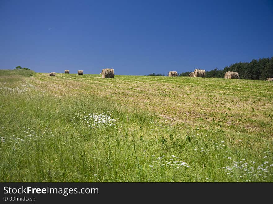 Landscape whit blue sky  and green hill in Poland. Landscape whit blue sky  and green hill in Poland