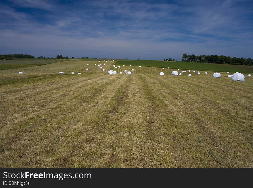 Landscape whit blue sky  and green hill in Poland. Landscape whit blue sky  and green hill in Poland