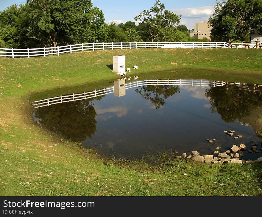 Lancaster PA Farm Pond