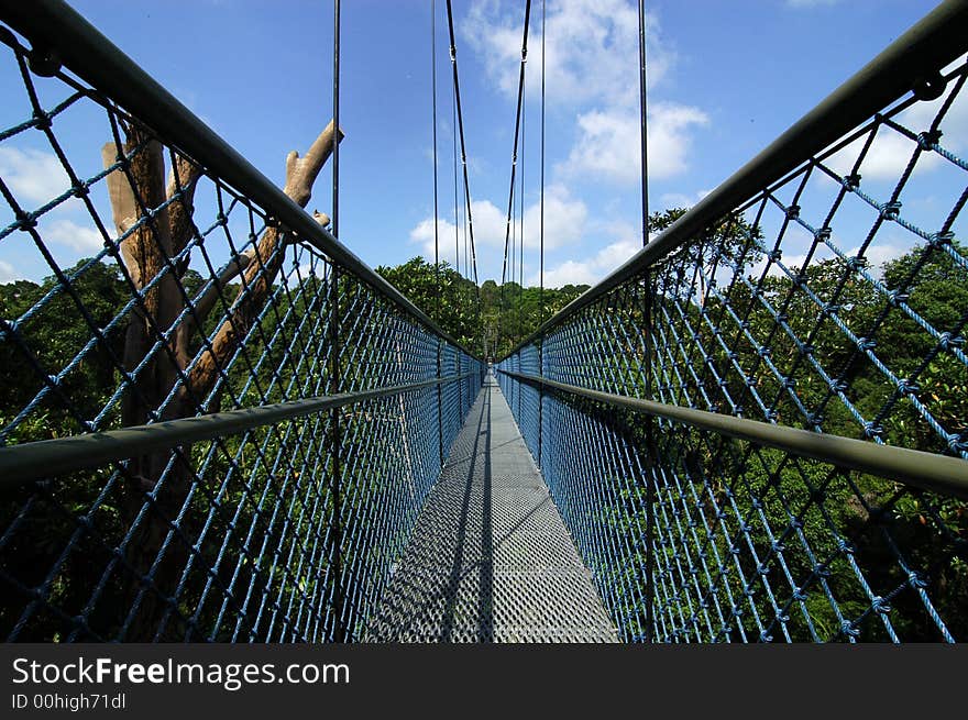 Suspension Bridge And Trees