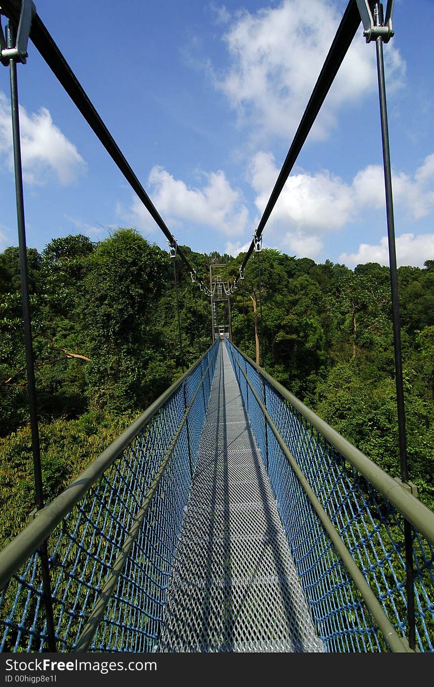 Suspension bridge and skies in the parks