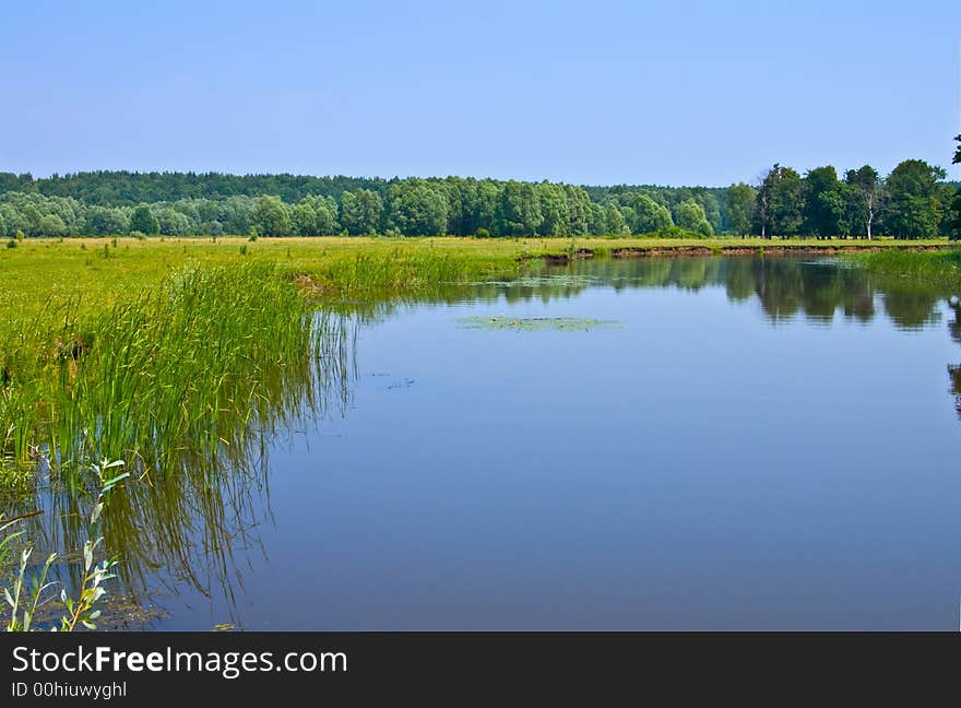 Coast Of The River Utka