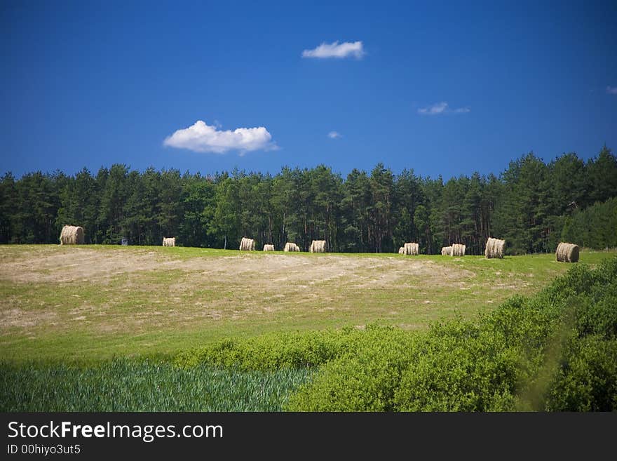 Landscape whit blue sky  and green hill in Poland. Landscape whit blue sky  and green hill in Poland