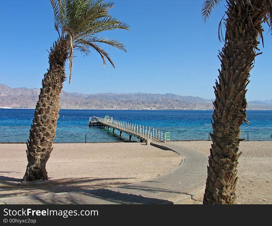 Tropical Beach In The Red Sea