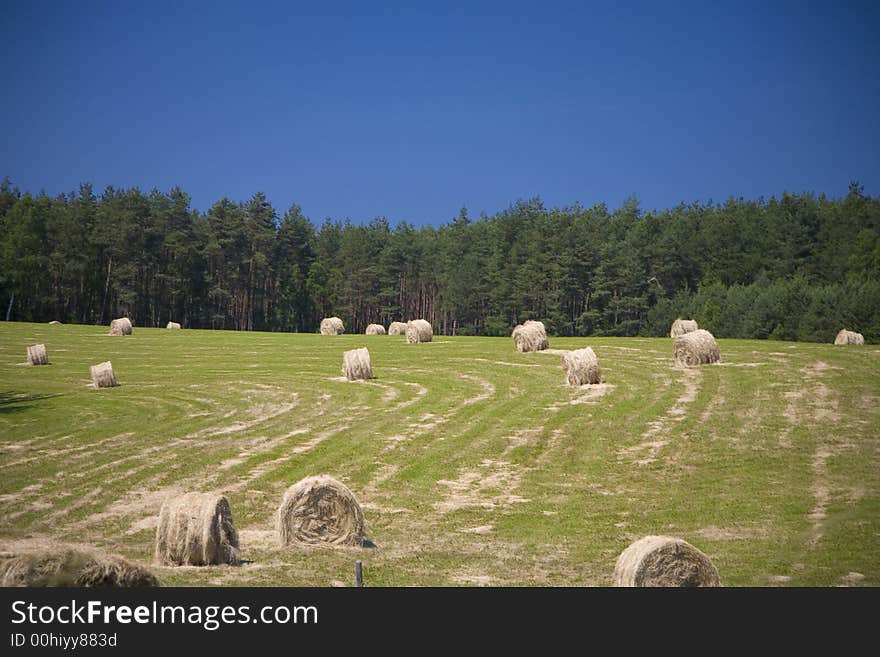 Landscape whit blue sky  and green hill in Poland. Landscape whit blue sky  and green hill in Poland