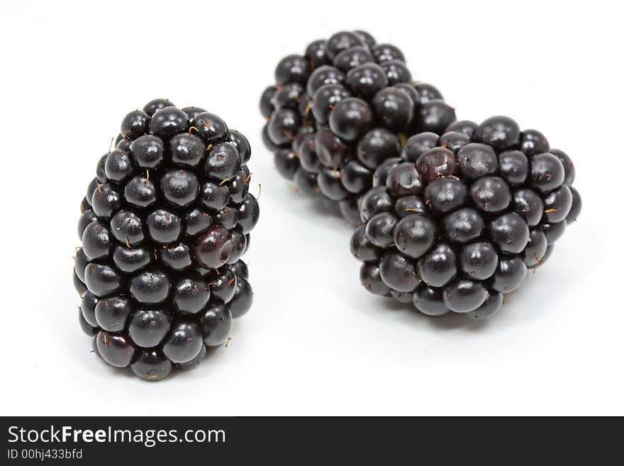 Blueberries isolated on white background