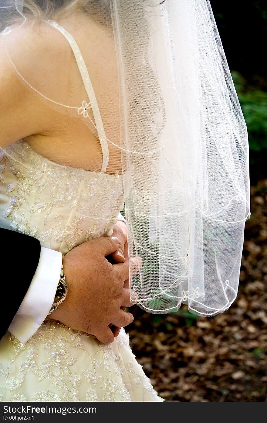 A detail shot of a bride's wedding dress. A detail shot of a bride's wedding dress