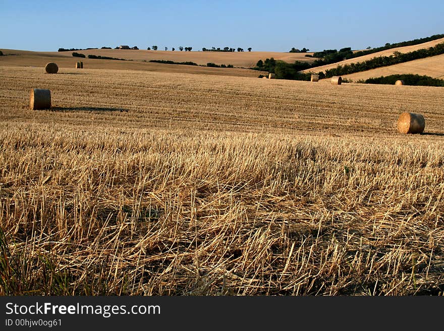 Marche countryside scene