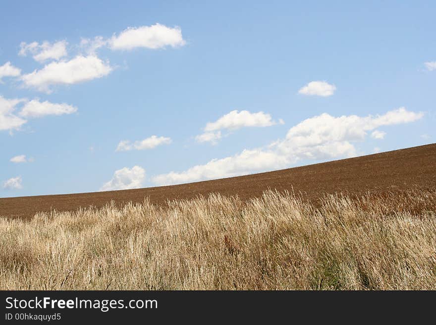 The brown field on background blue sky. The brown field on background blue sky.