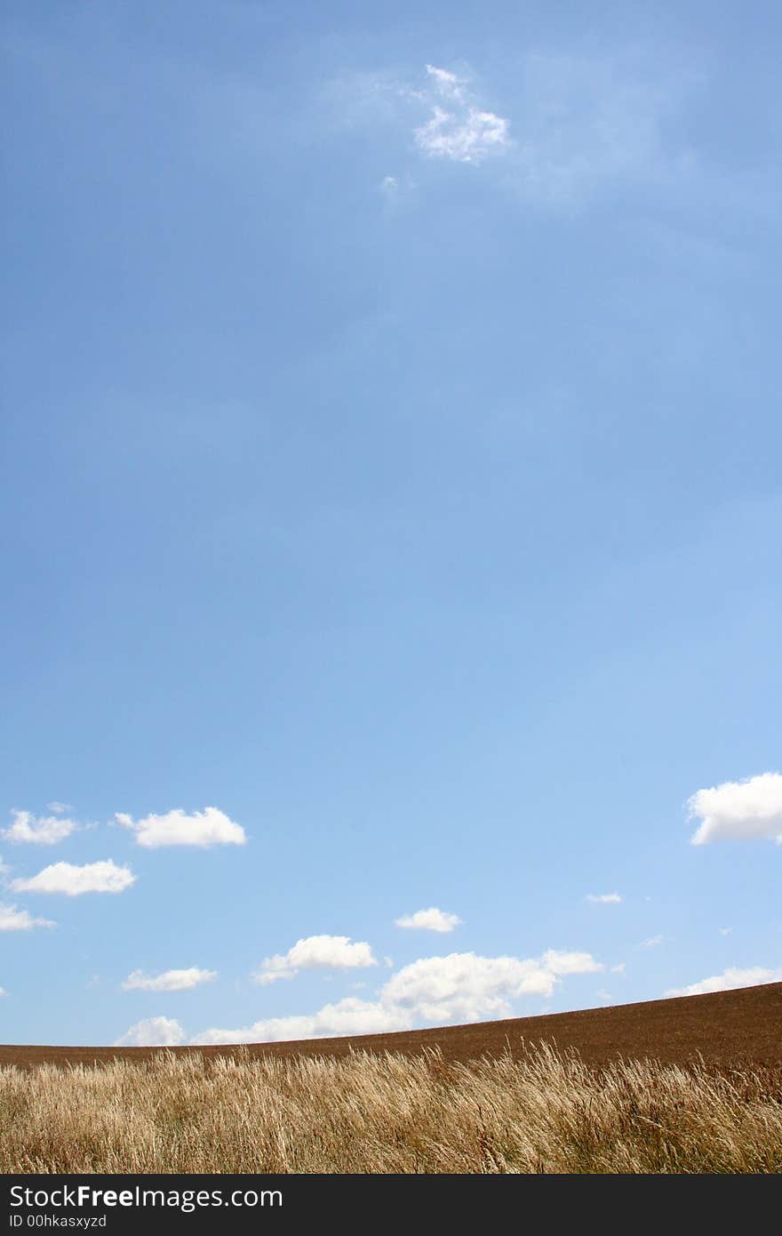 The brown field on background blue sky. The brown field on background blue sky.