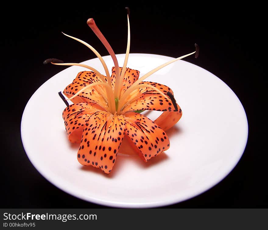 Color photo of a single tiger lily on a white plate with a black background. Color photo of a single tiger lily on a white plate with a black background.