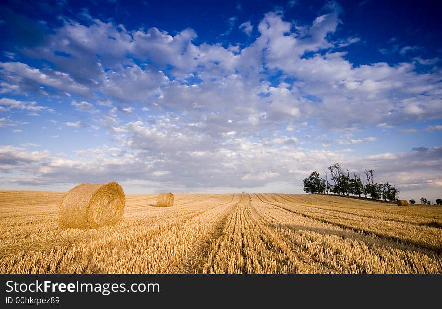 Summer hay bale in a ungarish field, and beauty landscape. Summer hay bale in a ungarish field, and beauty landscape