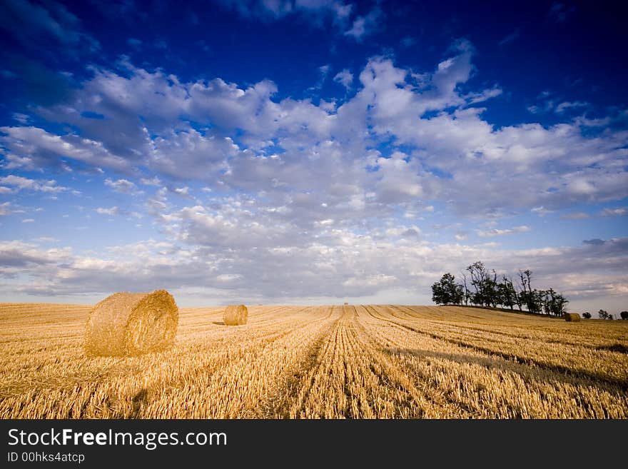 Summer hay bale in a ungarish field, and beauty landscape. Summer hay bale in a ungarish field, and beauty landscape