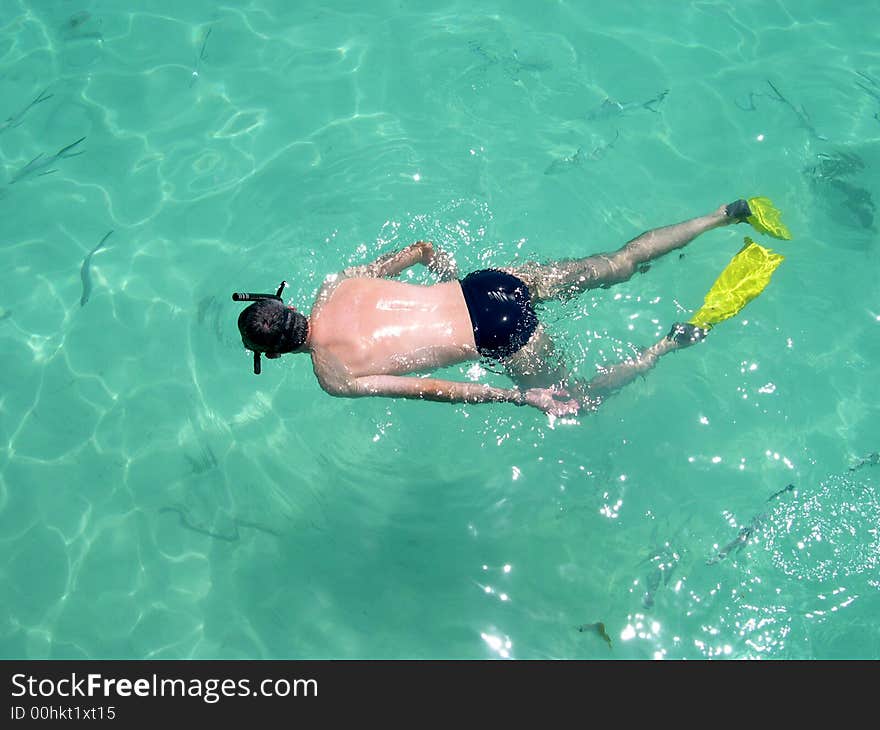 Snorkeling at tropical sea