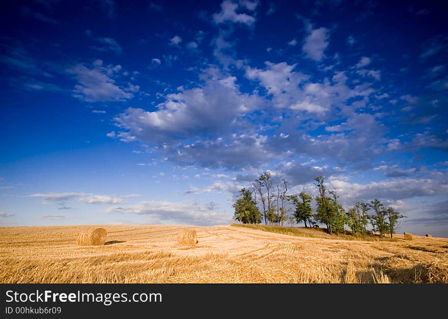 Summer hay bale in a ungarish field, and beauty landscape. Summer hay bale in a ungarish field, and beauty landscape