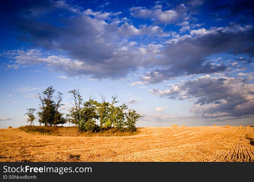 Summer hay bale in a ungarish field, and beauty landscape. Summer hay bale in a ungarish field, and beauty landscape