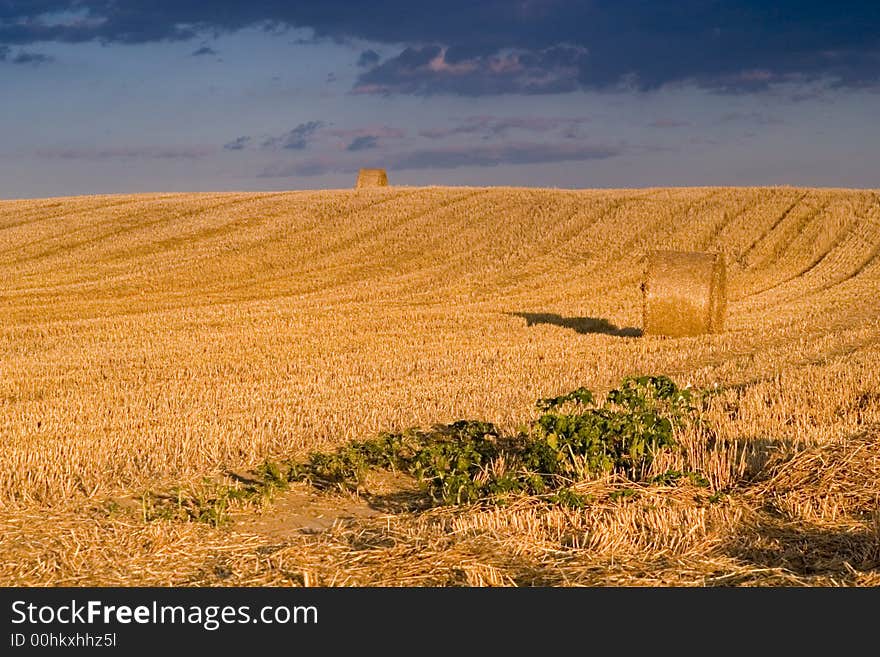 Summer hay bale in a ungarish field, and beauty landscape. Summer hay bale in a ungarish field, and beauty landscape