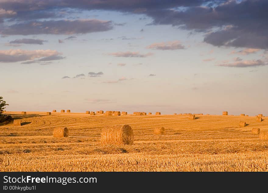 Summer hay bale in a ungarish field, and beauty landscape. Summer hay bale in a ungarish field, and beauty landscape