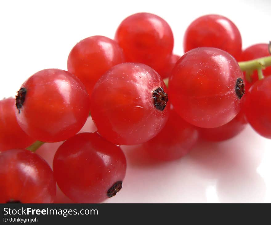 Fruits of ribes spicatum shot in macro