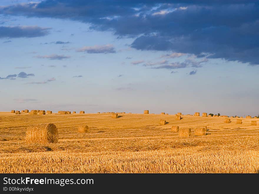 Summer hay bale in a ungarish field, and beauty landscape. Summer hay bale in a ungarish field, and beauty landscape