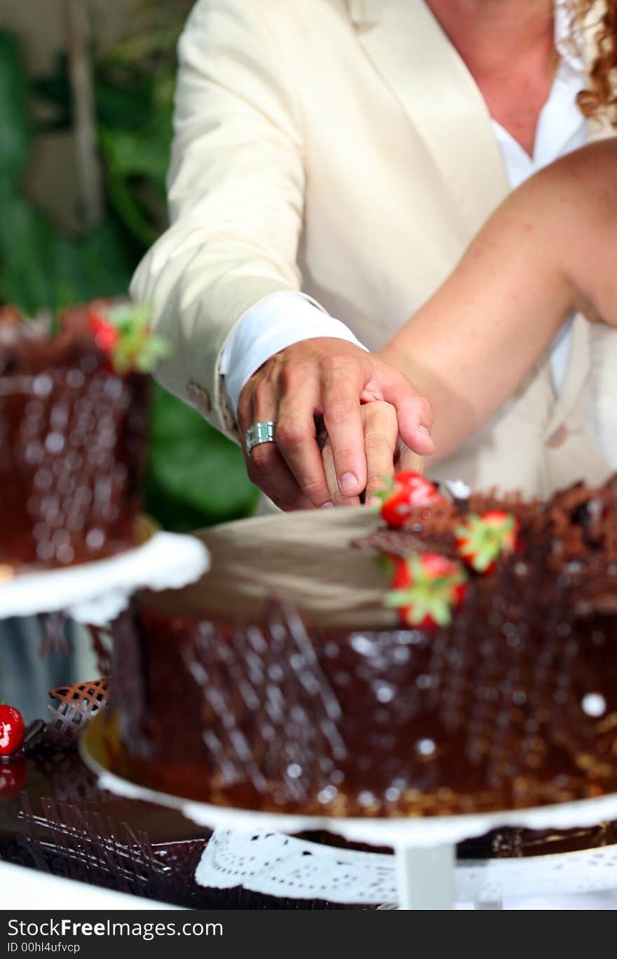 Newly-weds cutting the chocolate pie for celebration