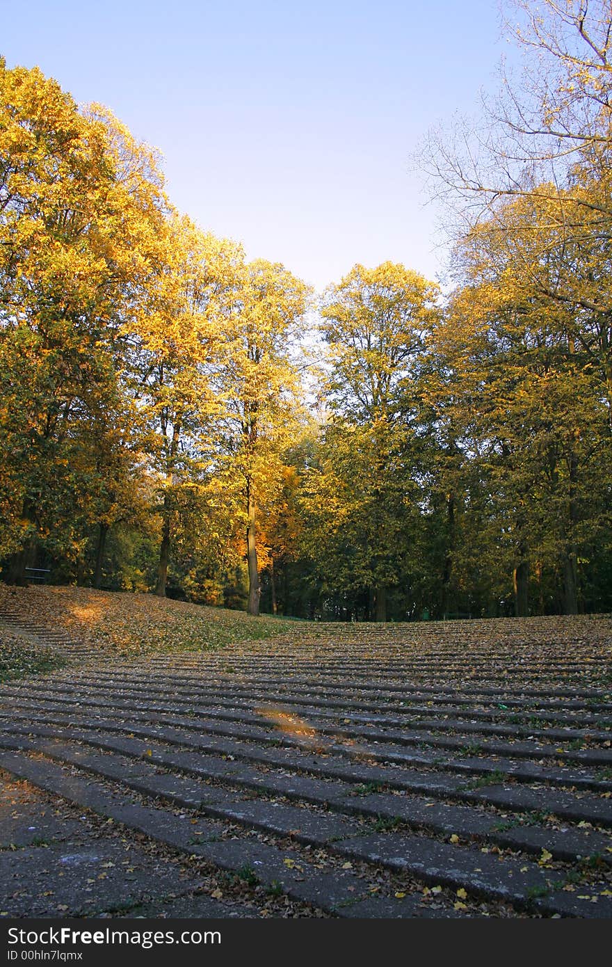 Autumn morning sunshine in a park. Autumn morning sunshine in a park