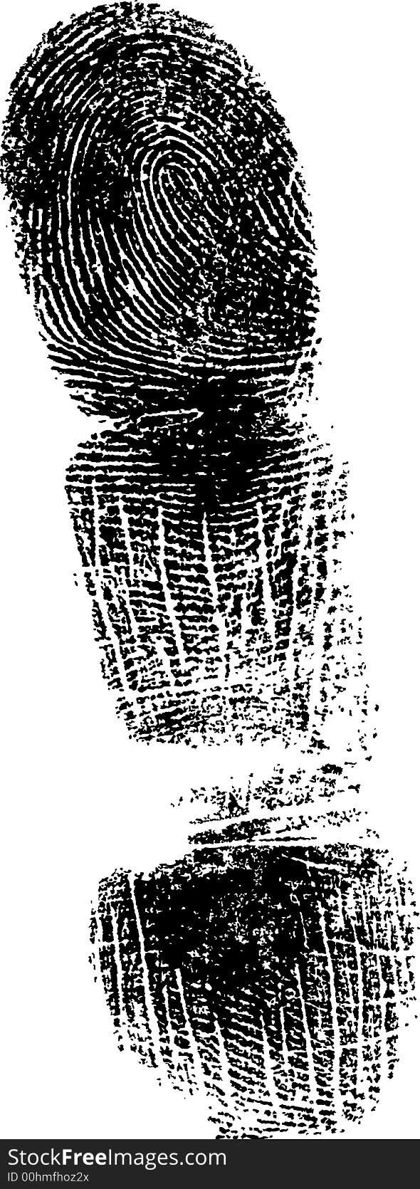 Full Finger FingerPrint (Very Detailed Vector Image). Full Finger FingerPrint (Very Detailed Vector Image)