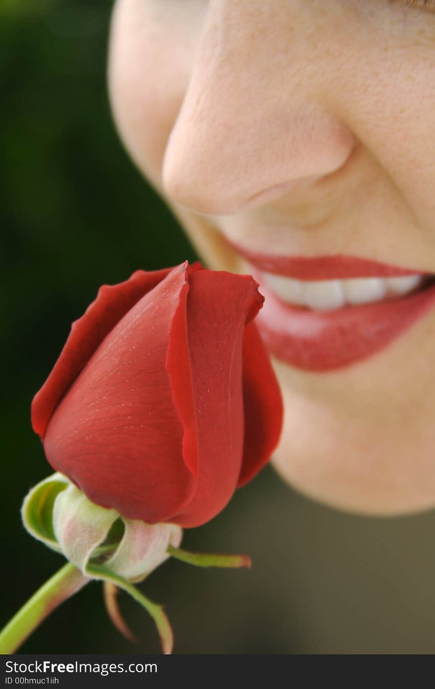 Woman smells fresh rose bud. Woman smells fresh rose bud.