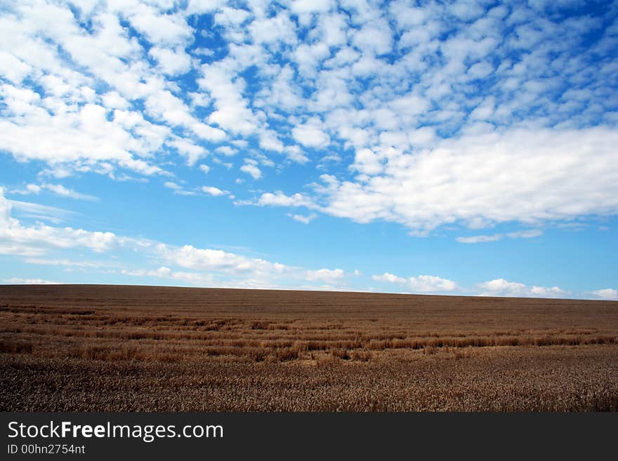 Harvest summertime, wheat, agriculture, farming, fodder, bread, raw material