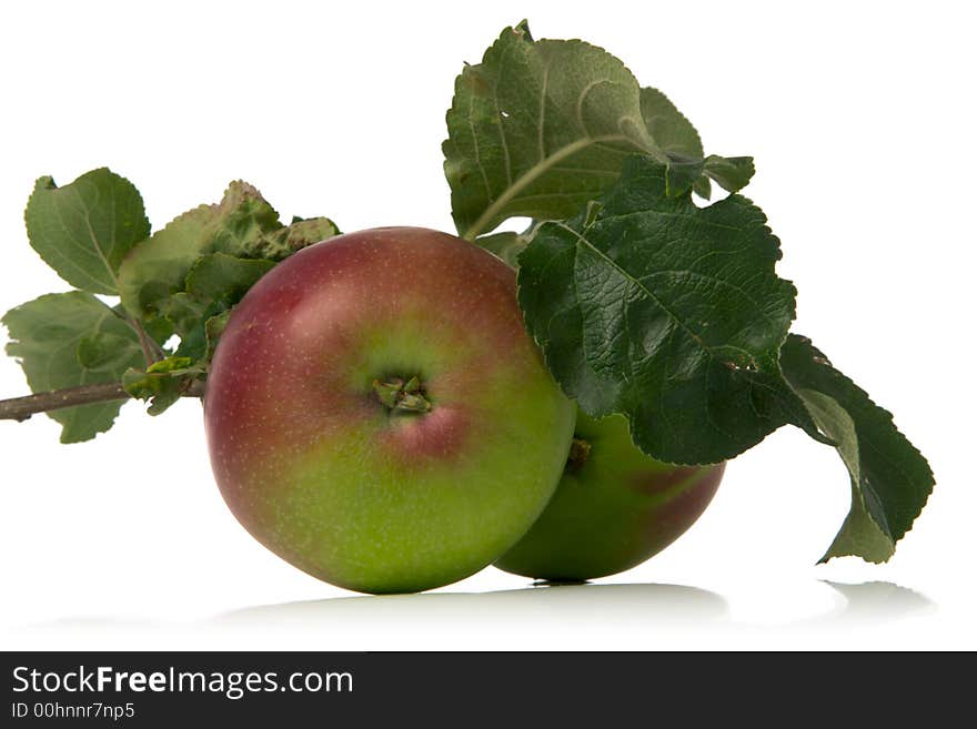 Apples and leaves isolated over white backround