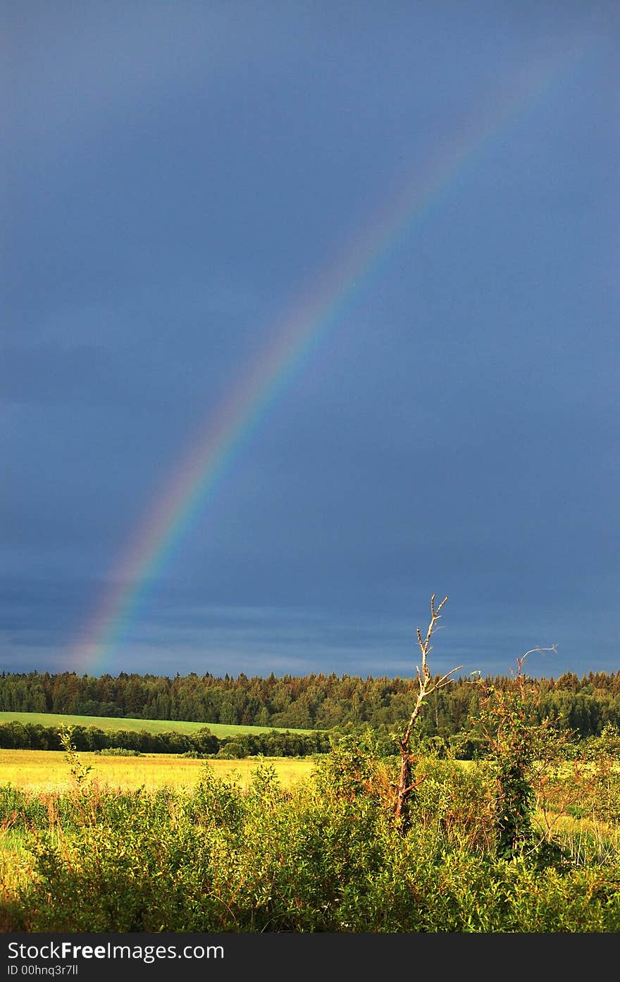 Field and rainbow in the sky