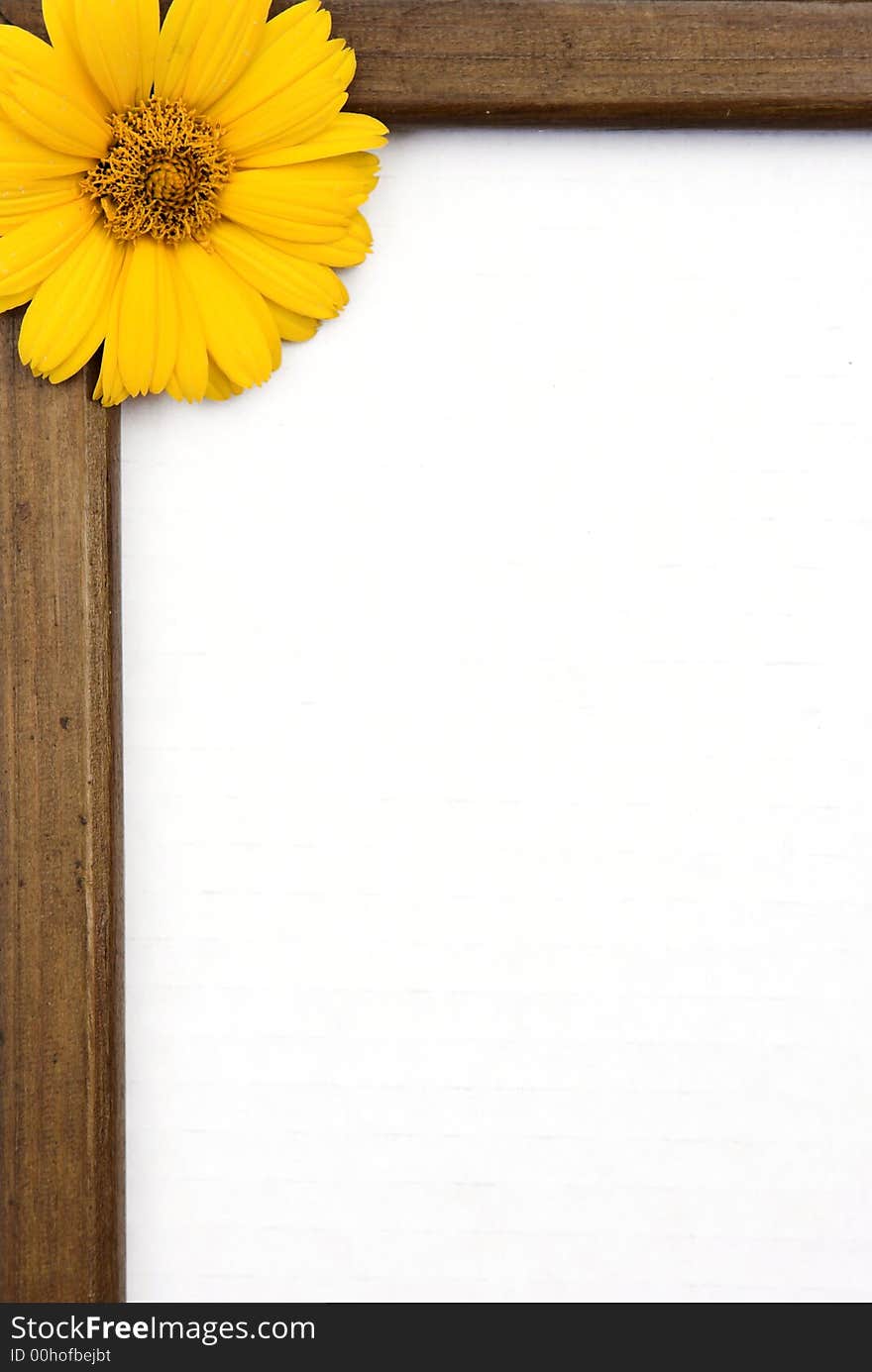 Letter with frame and yellow flower. Letter with frame and yellow flower