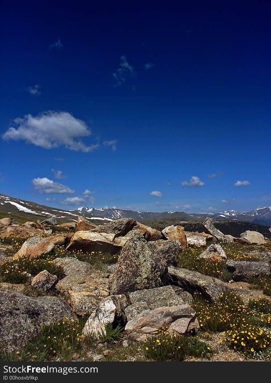 Mount Evans Wilderness in Colorado with wildflowers, mountain peaks, rocks, blue sky, clouds and Alpine Tundra. Mount Evans Wilderness in Colorado with wildflowers, mountain peaks, rocks, blue sky, clouds and Alpine Tundra