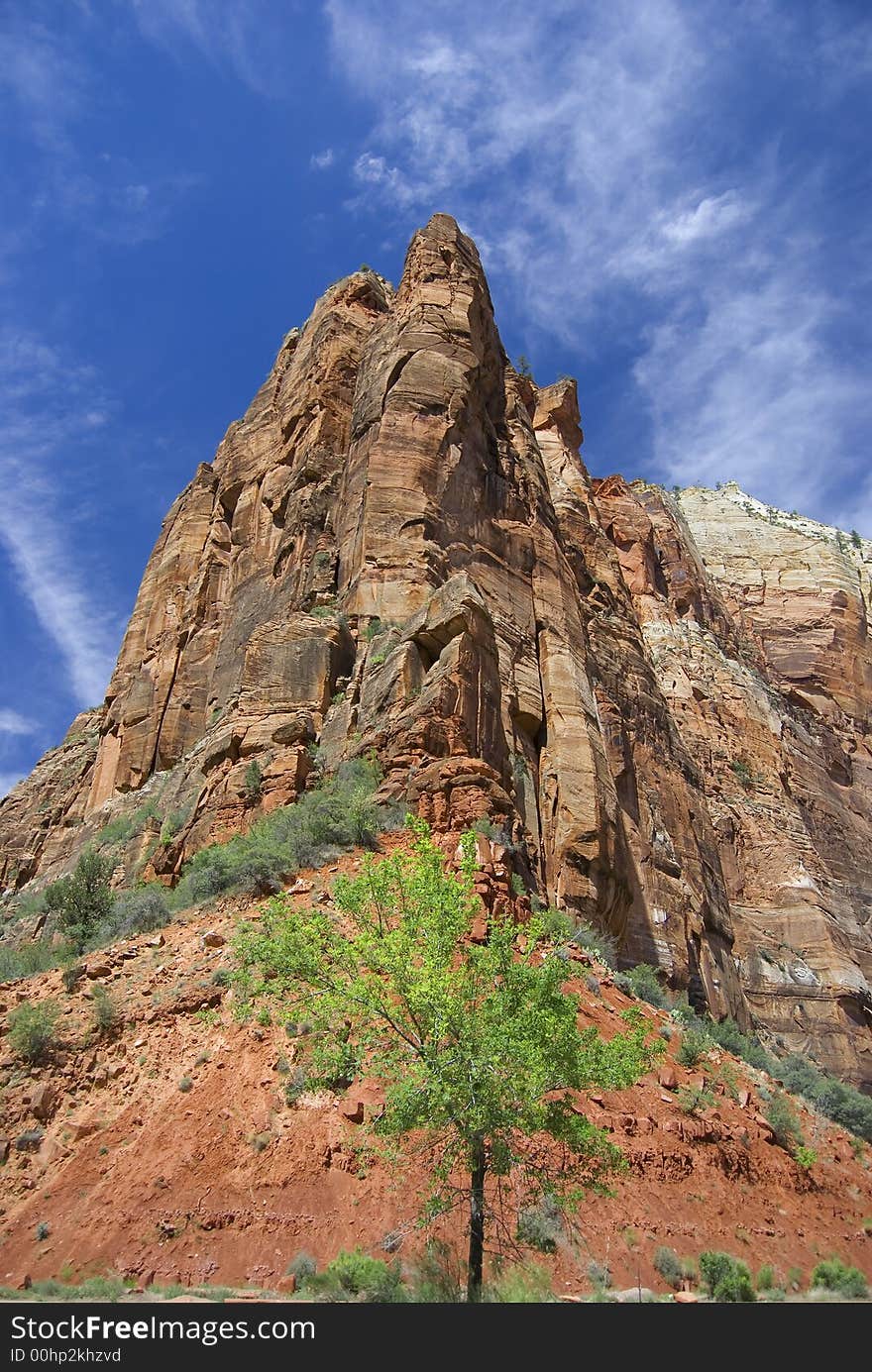 A mountain & lone tree inside Zion National Park, Utah. A mountain & lone tree inside Zion National Park, Utah