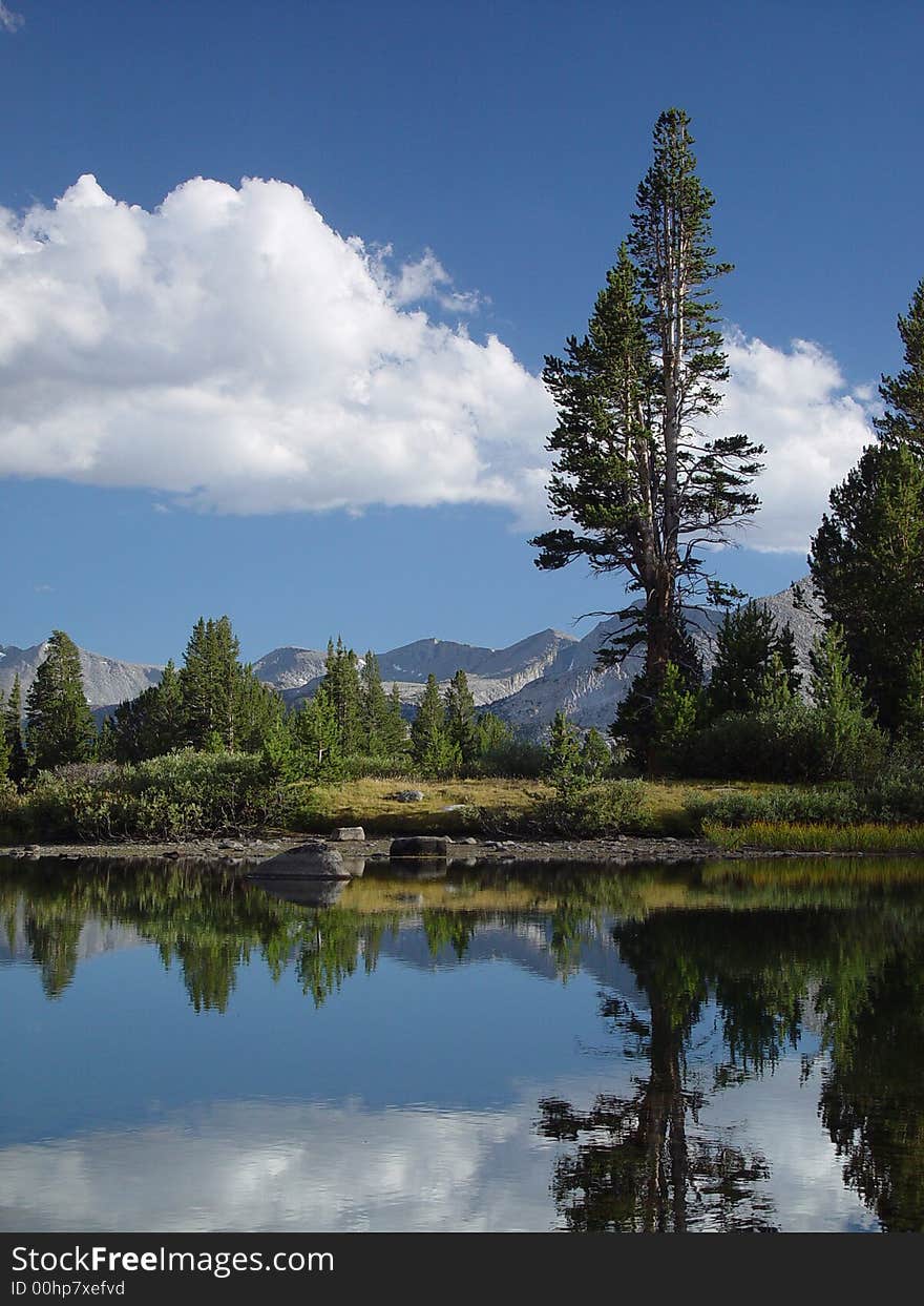 A snow melt pond high in the Sierra Mountains of Yosemite National Park. A snow melt pond high in the Sierra Mountains of Yosemite National Park.