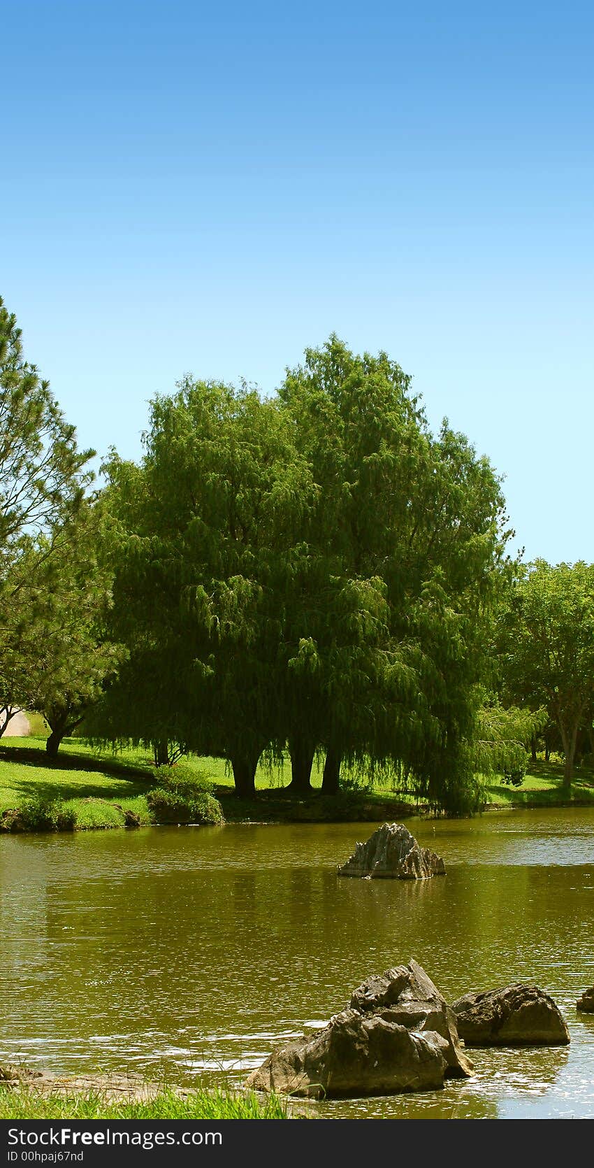 Green trees and and pond detail in summer sky. Green trees and and pond detail in summer sky