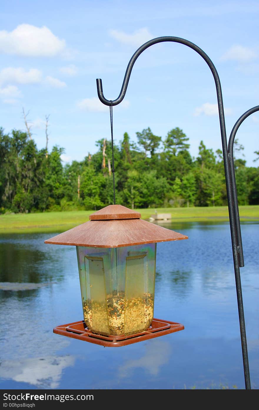 Hanging bird table  by the water