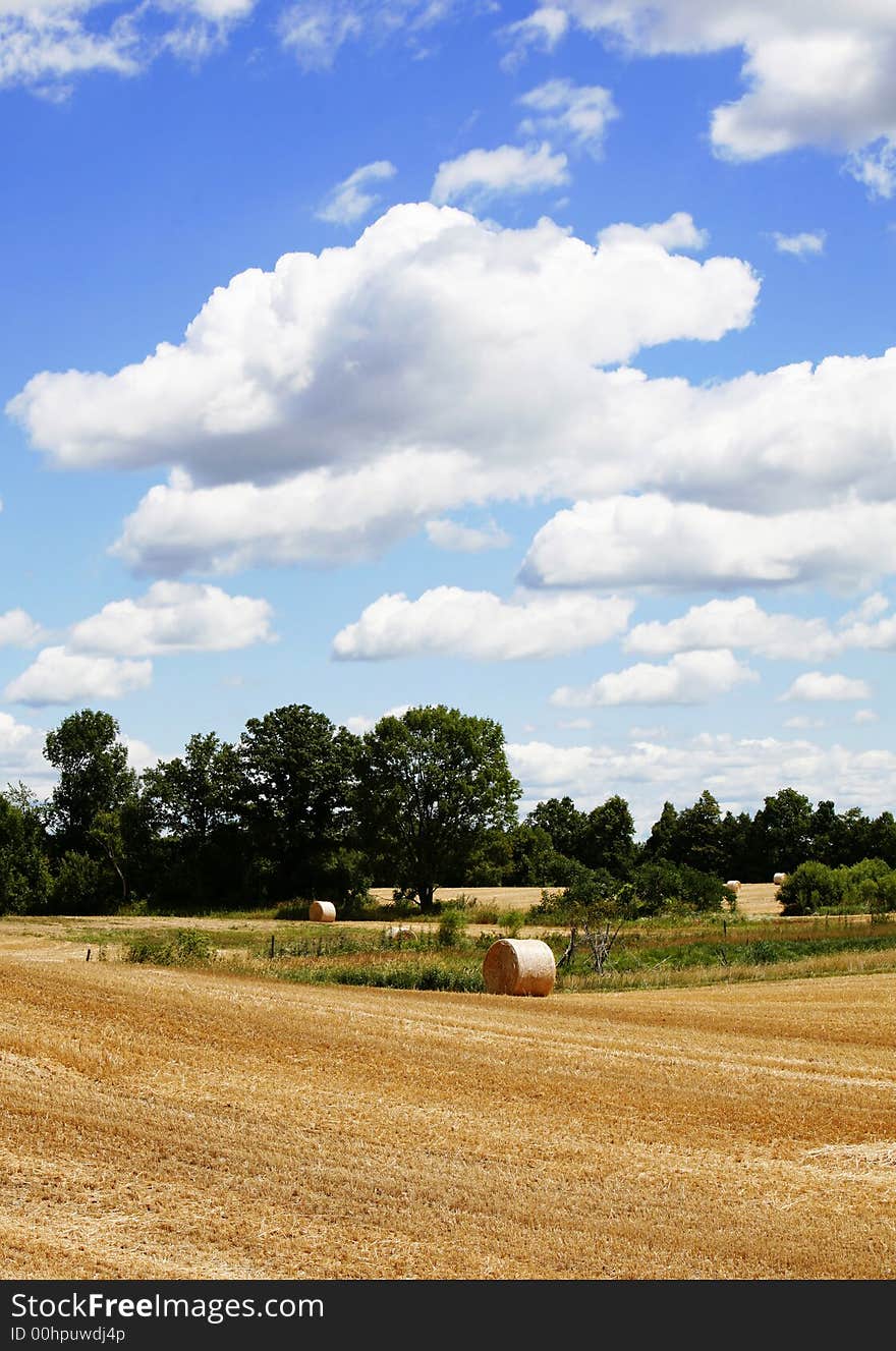 Straw Harvest