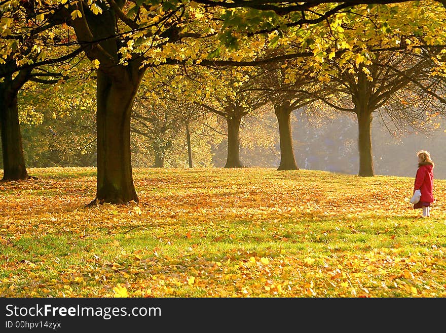 Alone In The Park