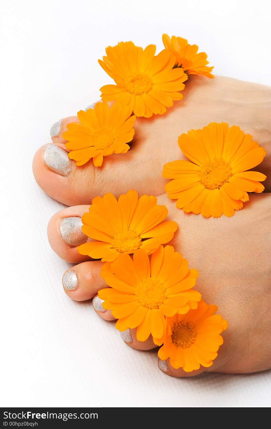 Woman Feet And Flower