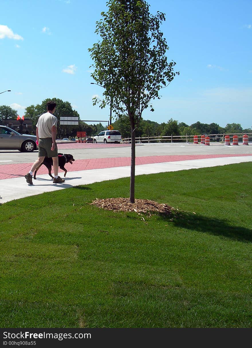 Maneuvering Roundabout Traffic