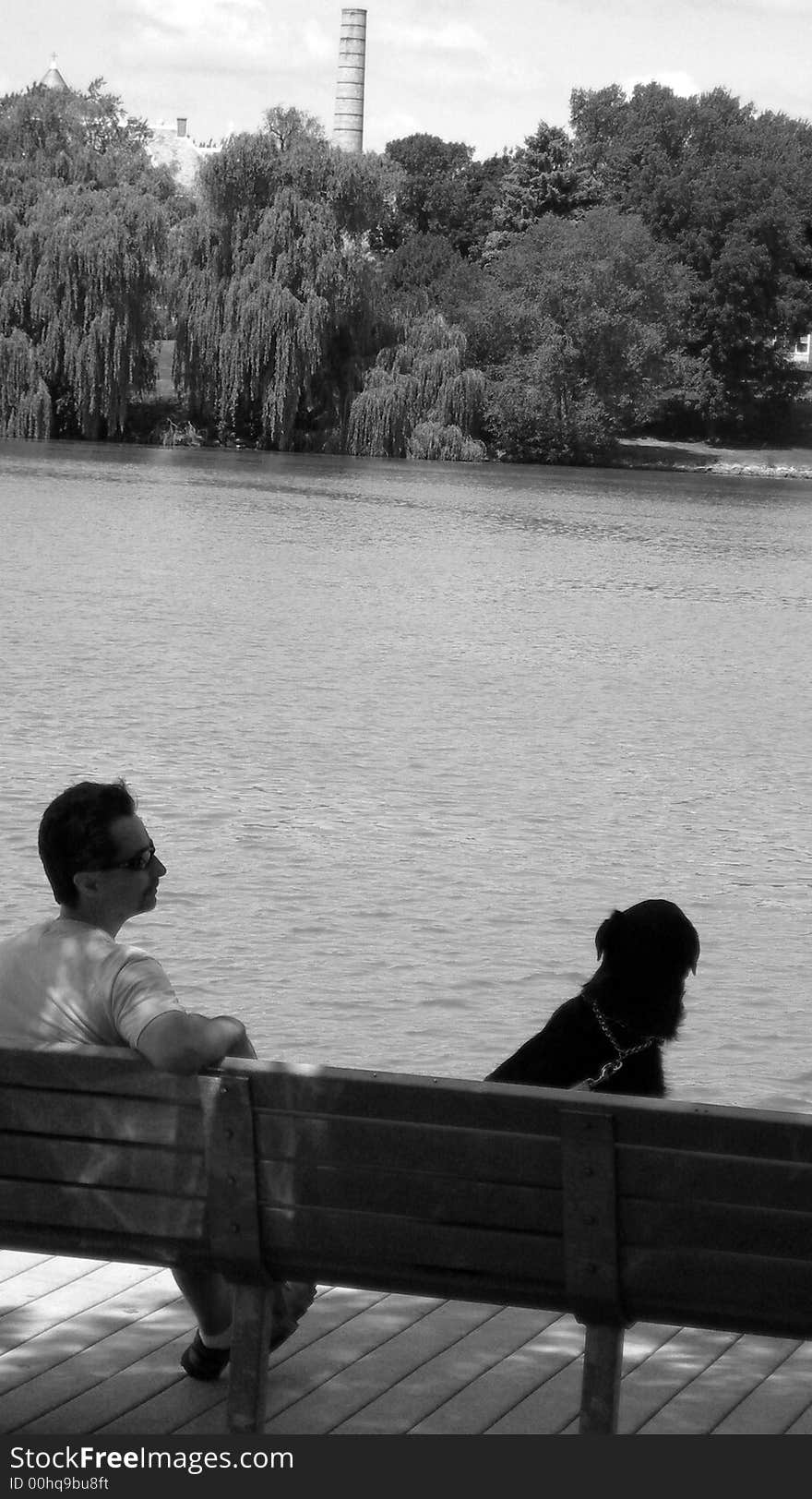 Man and Dog on Pier Dock. Man and Dog on Pier Dock