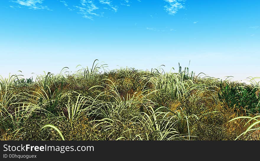 Green grass and blue sky - digital artwork